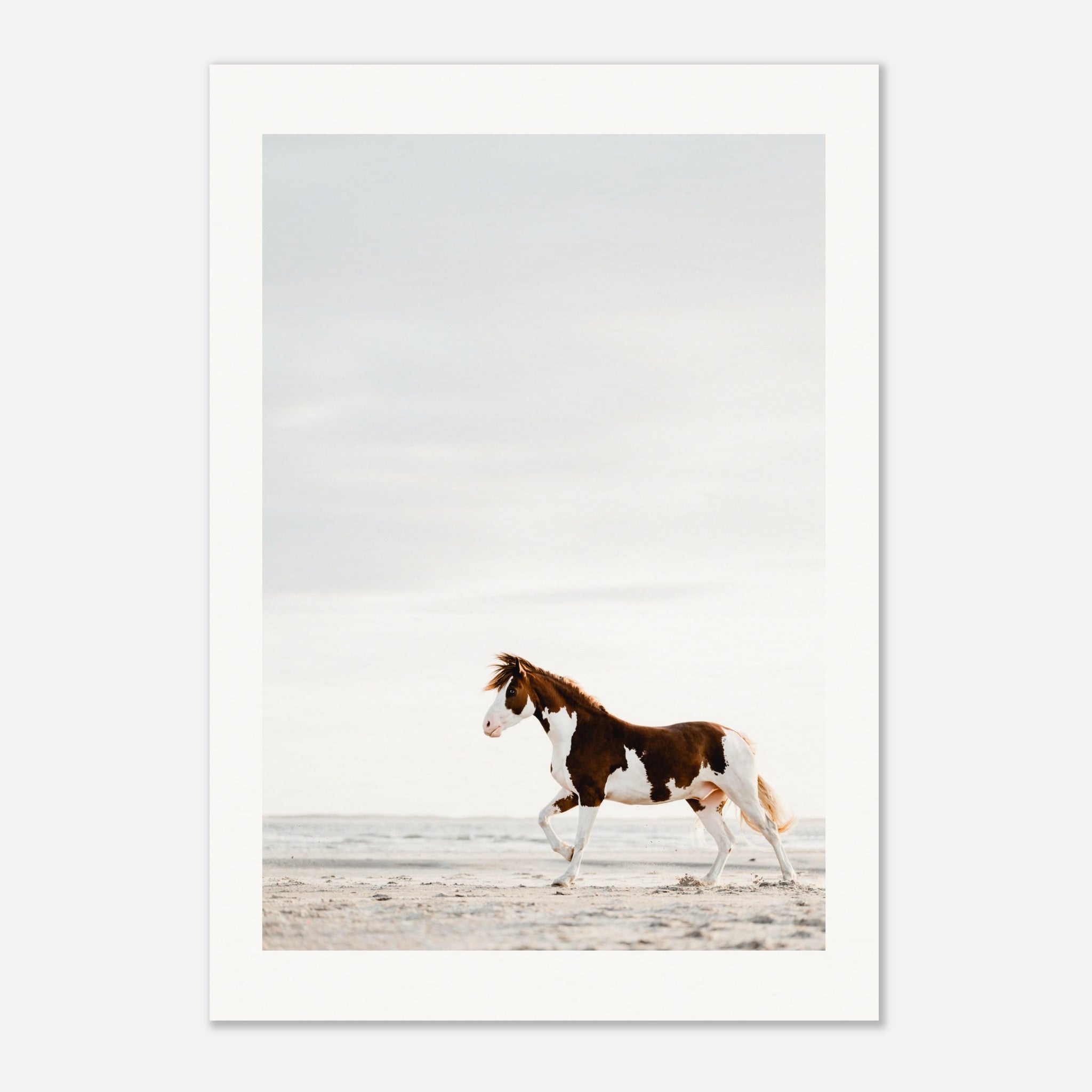 070fef96-c116-4366-b028-c435d723352e