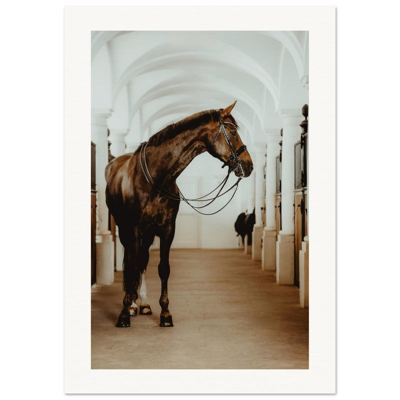 0716e139-1c75-41f0-b844-9f29a5b29917