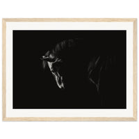 071759f3-7a8d-4e00-8543-8a2e63cd9f2c