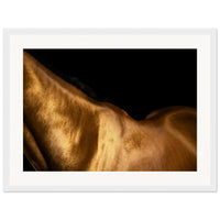 07aaeb29-ec8d-4f0f-8397-f4f2e7d5be78