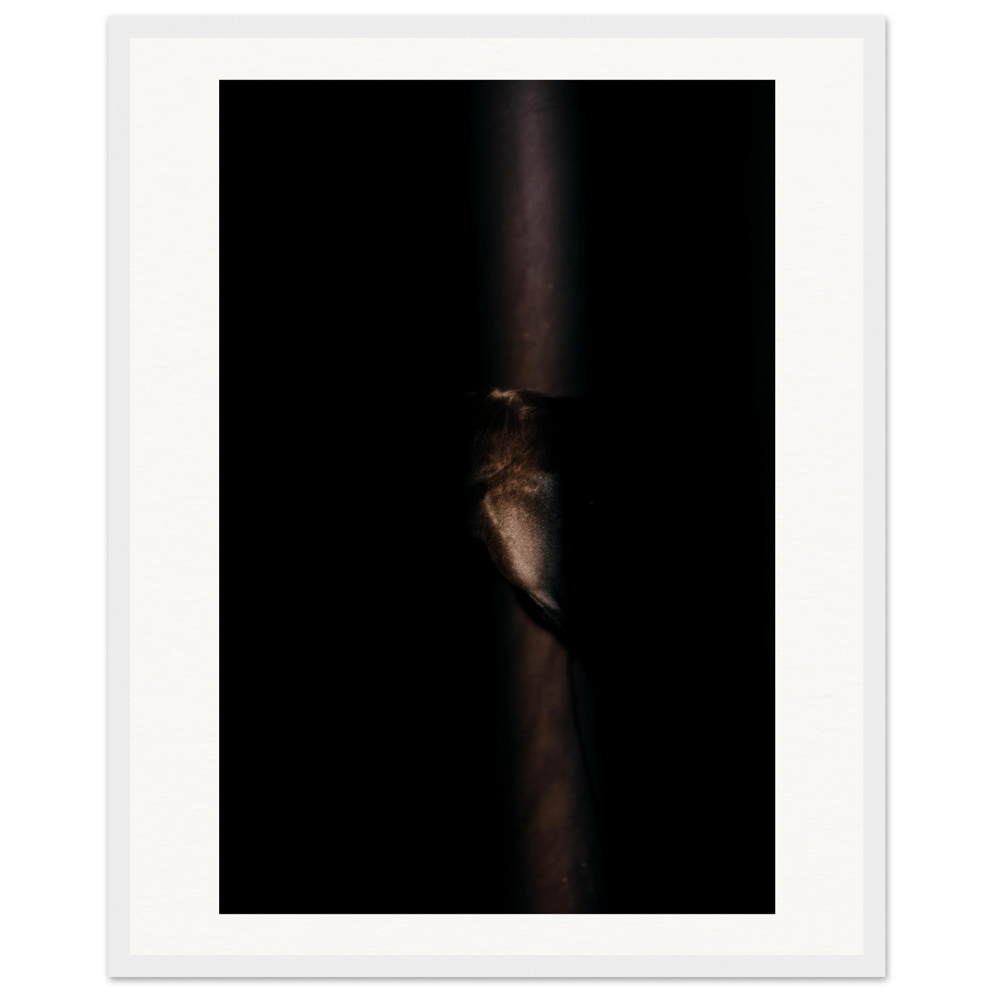 07c70183-aab1-42b2-822e-b71c001953b6