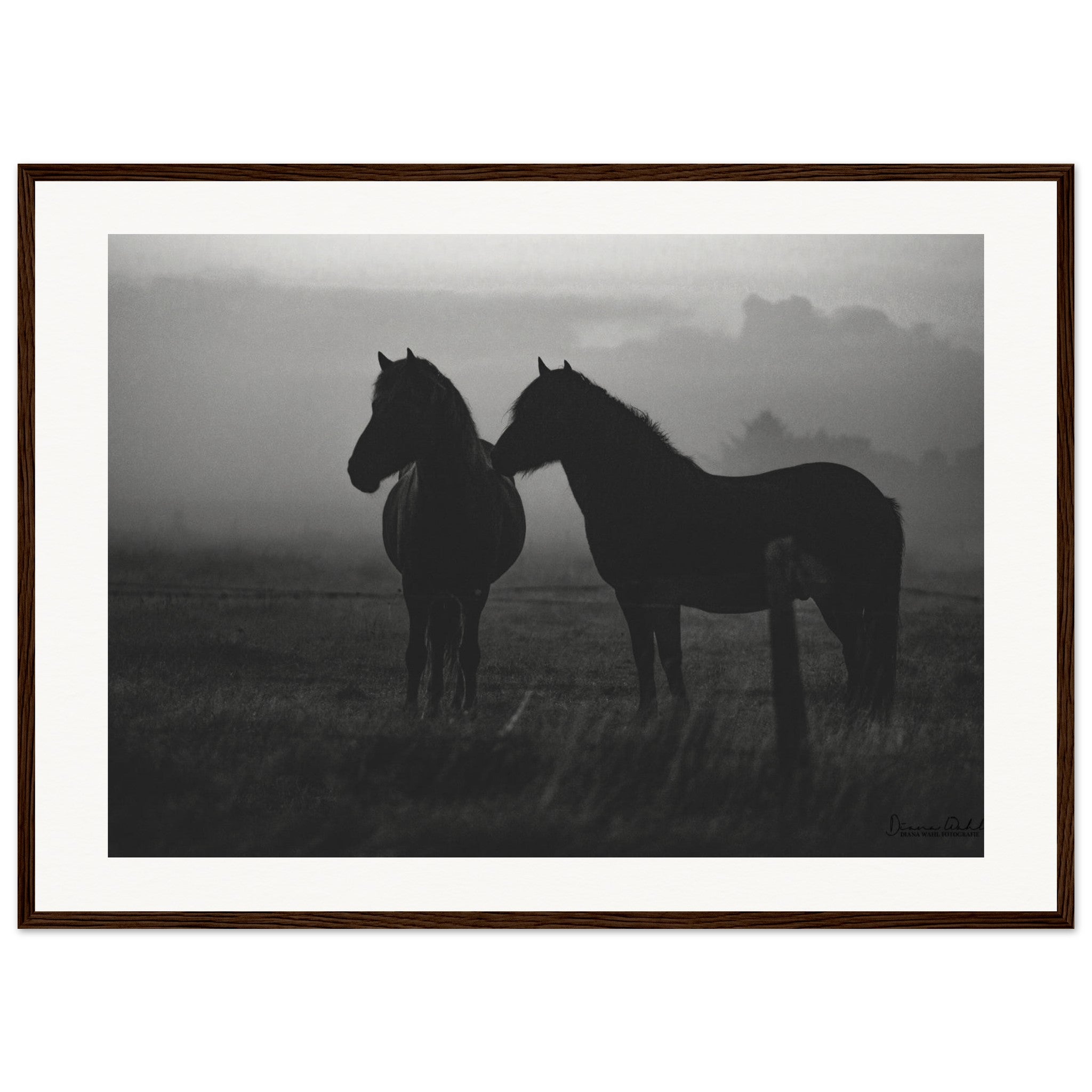 080916e0-d3ce-4b88-964a-63c5933ebb2d