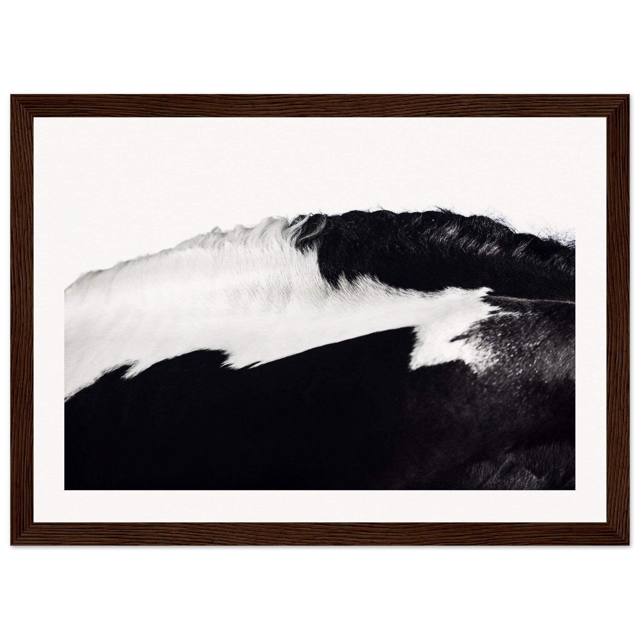 082d3bee-e1ab-4697-9034-d5034e6d907e