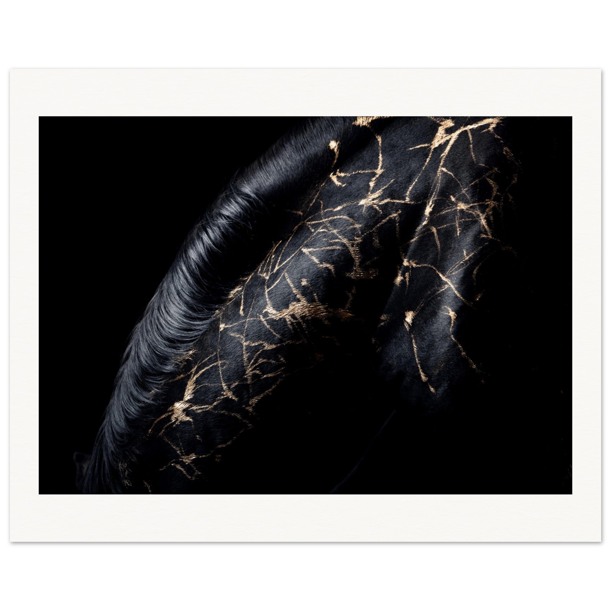 087be19f-0989-426a-89aa-67719bc254c3