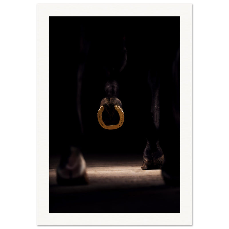 089dbc2e-7d00-419a-a8e3-725fd52e010e