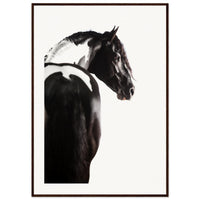 08d9e2ef-ef2f-44b2-8fd4-44ebea56041e