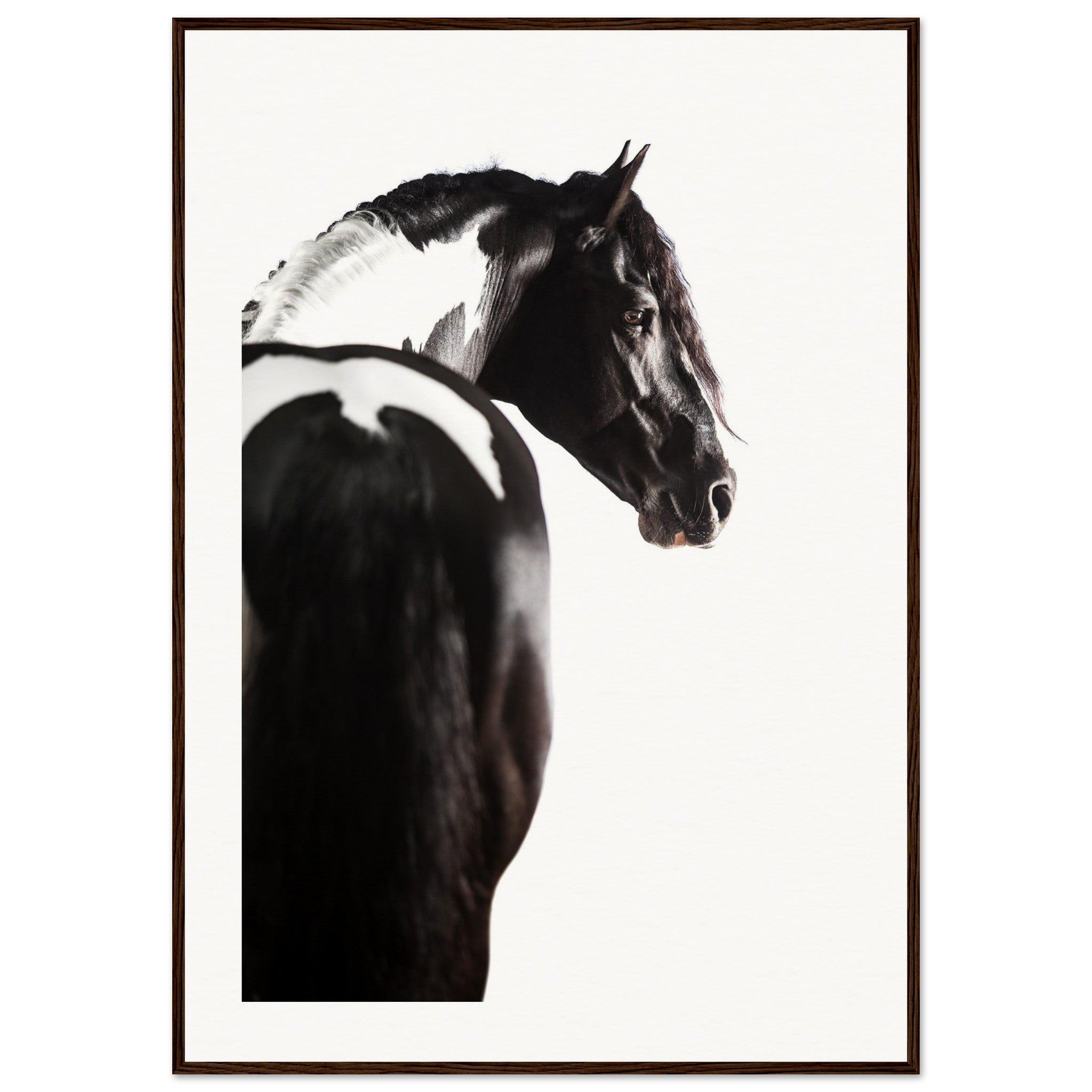 08d9e2ef-ef2f-44b2-8fd4-44ebea56041e