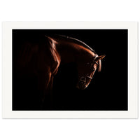 08eff058-fd08-4e03-8768-8a7c0acd6540