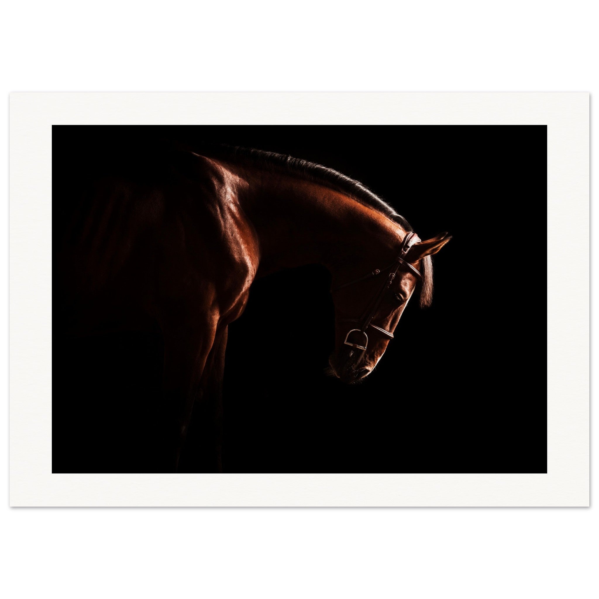 08eff058-fd08-4e03-8768-8a7c0acd6540