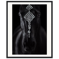 08f69675-5385-4c6b-9419-7aa2fb3e0348