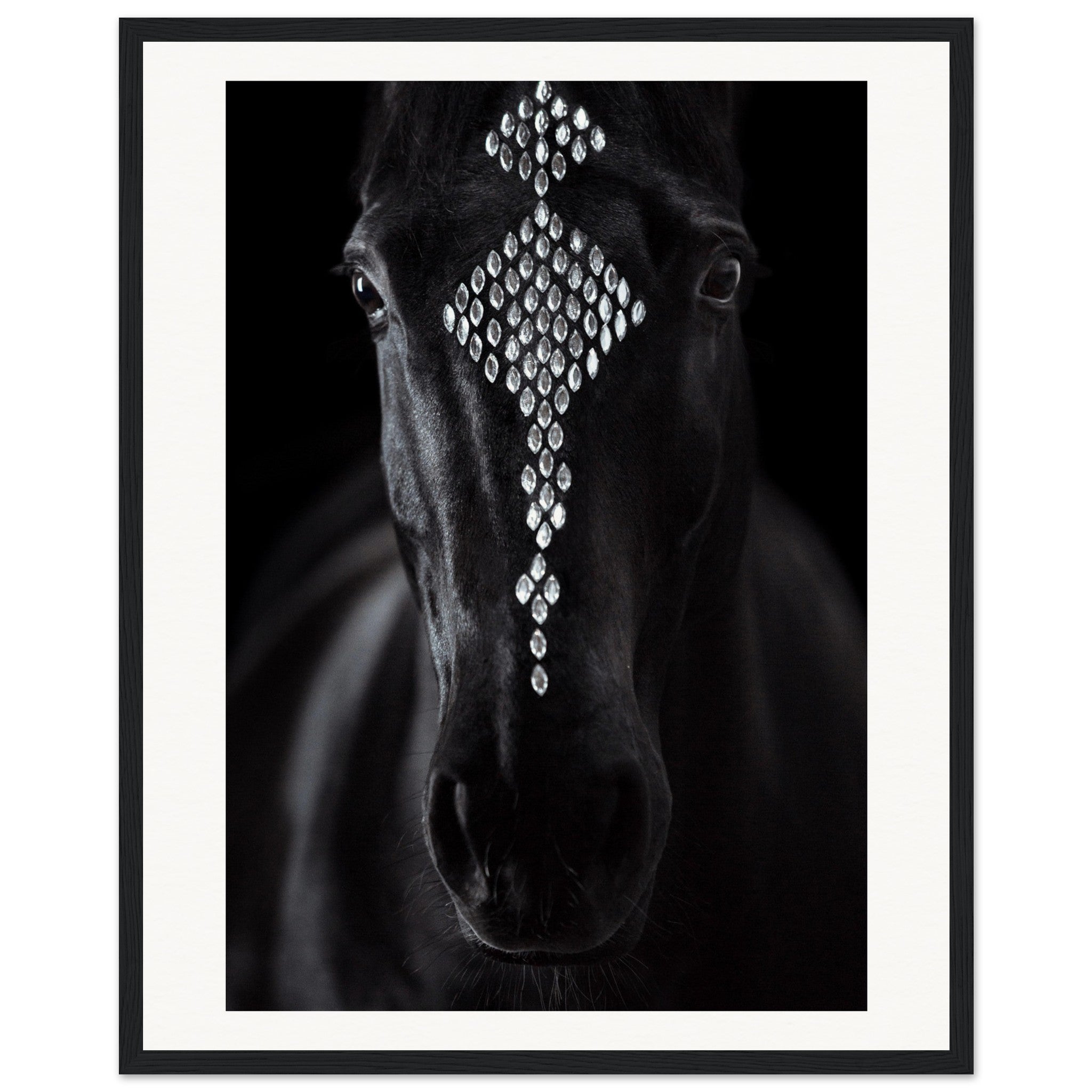 08f69675-5385-4c6b-9419-7aa2fb3e0348