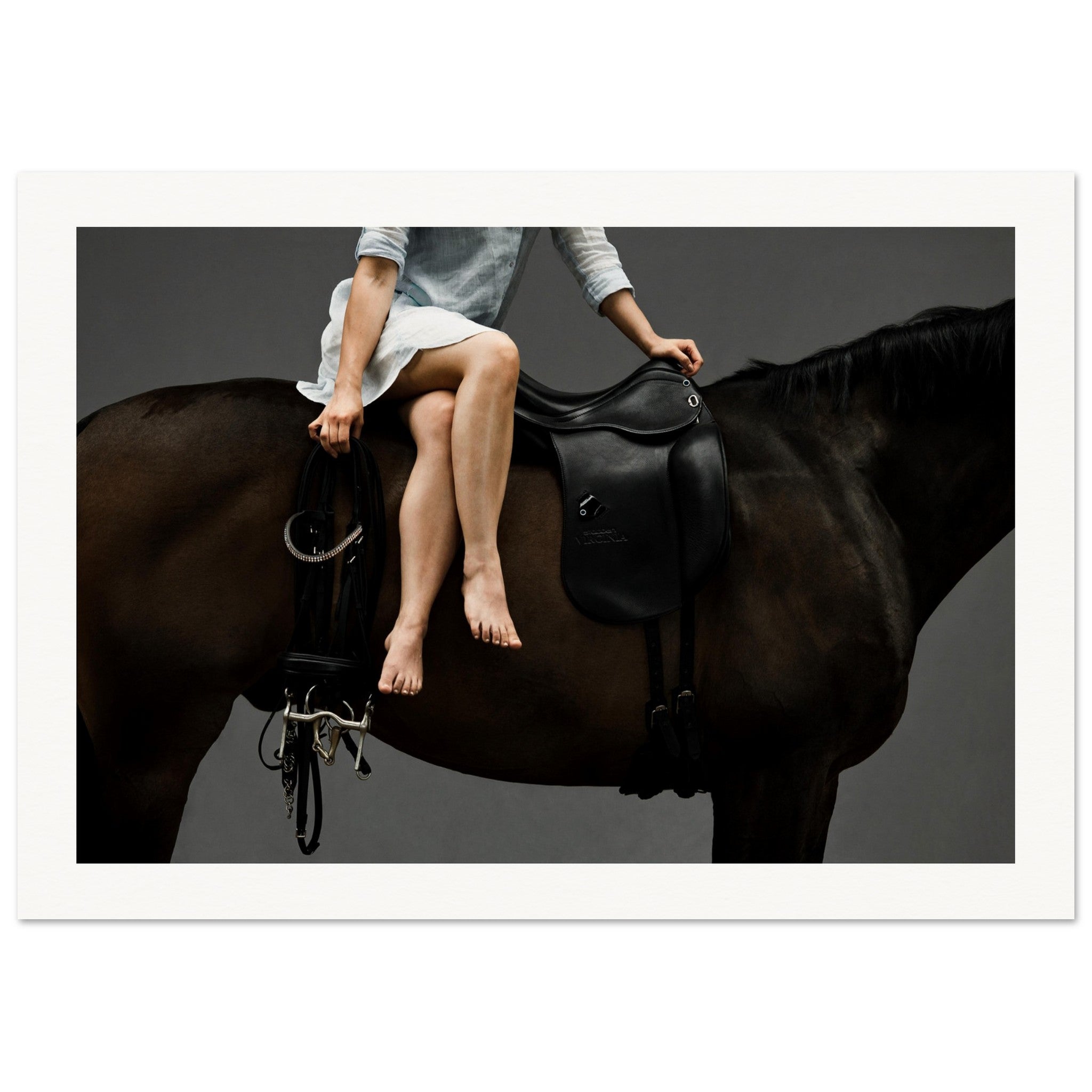 0909e603-b0ff-47c9-a726-6d223c918214