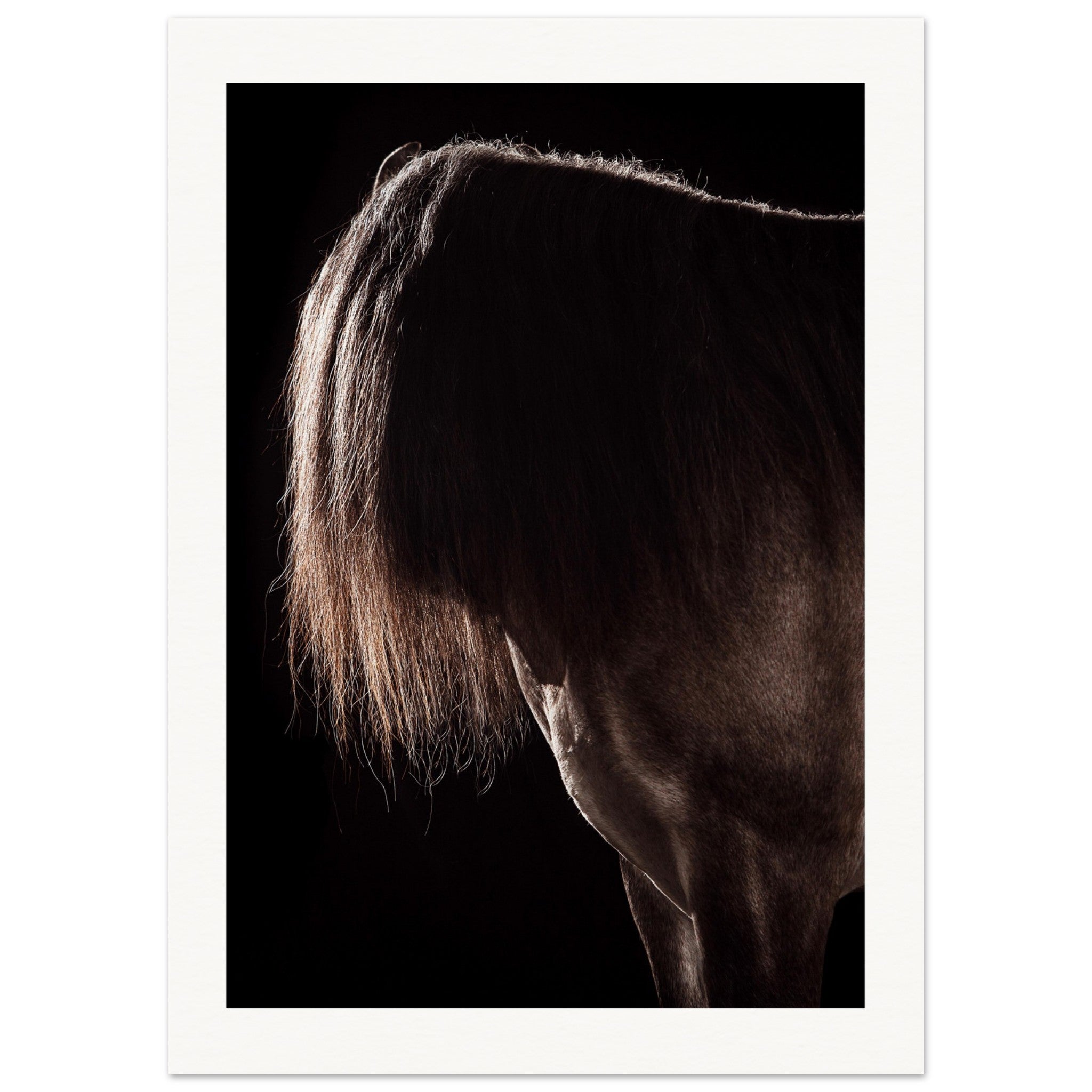 093e7880-a691-432d-b3f3-9c9128382ae3