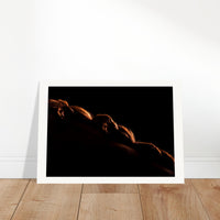 09507280-1e90-48f0-987c-943adc0de7e7