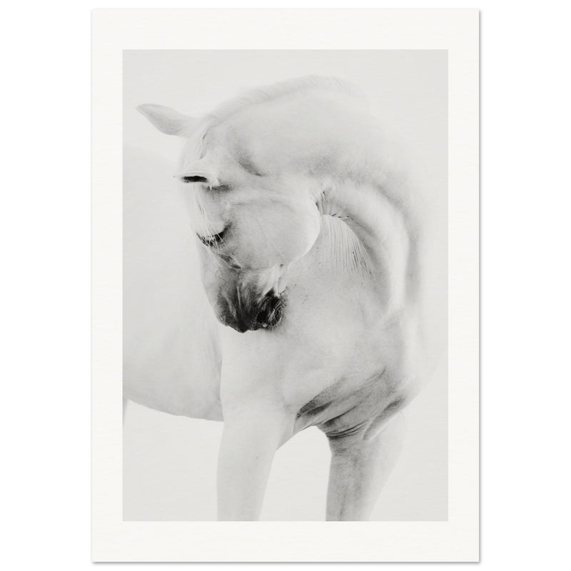 09573371-cc5d-484c-aff8-d3ae794c3a30