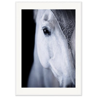 0976ffef-d515-4b84-92bc-4d81c02566d0