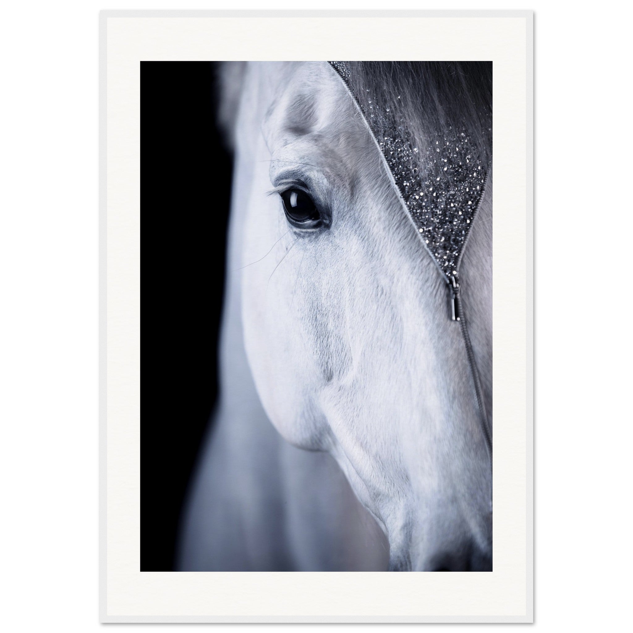 0976ffef-d515-4b84-92bc-4d81c02566d0