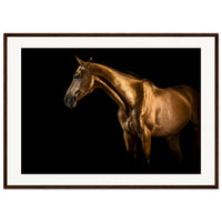 0a0c985d-37fe-4eb2-8f69-a3dcec096423