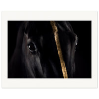 0a2d6217-d2e6-452a-8cd3-77b7e77d5d94