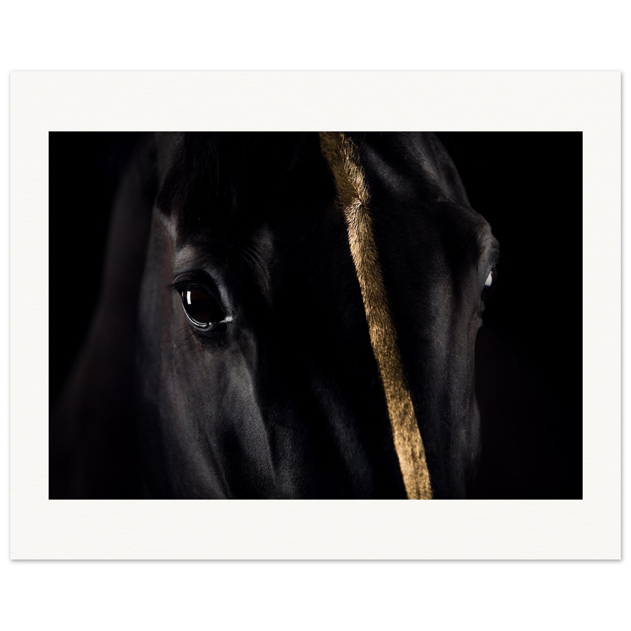 0a2d6217-d2e6-452a-8cd3-77b7e77d5d94