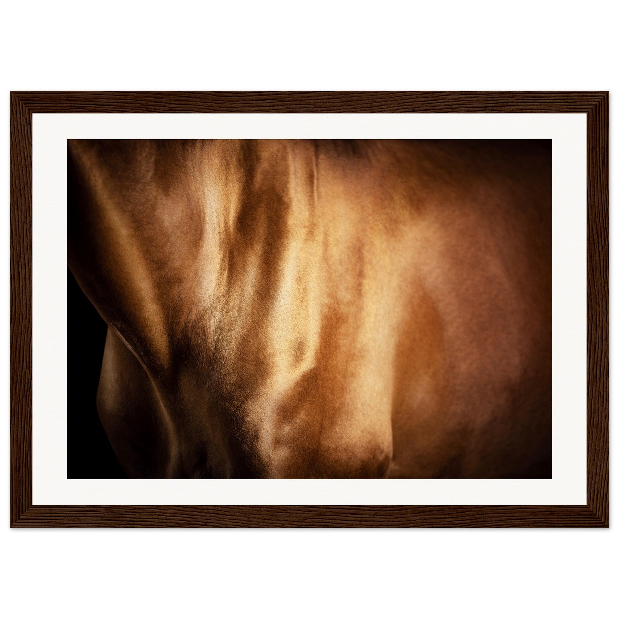 0a5592d7-3cfd-4477-a97b-209302812ab4