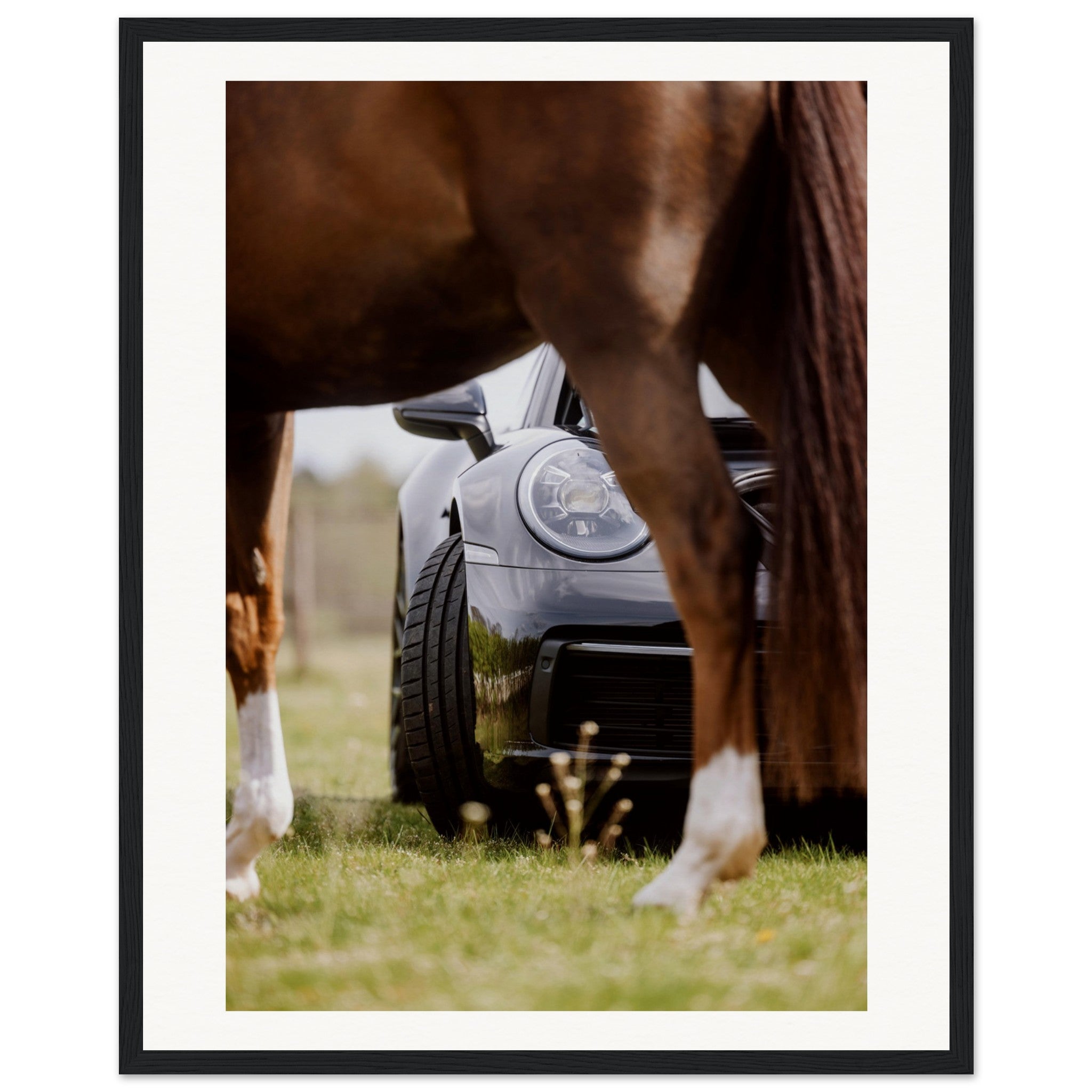 0a7cfed8-c898-40ad-8334-3d3d0a01c854