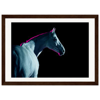 0acfc27b-b15d-4adf-86a0-98724eec98d0