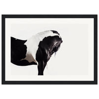 0af5927f-69ed-4b8d-98c0-f288a667f2ef