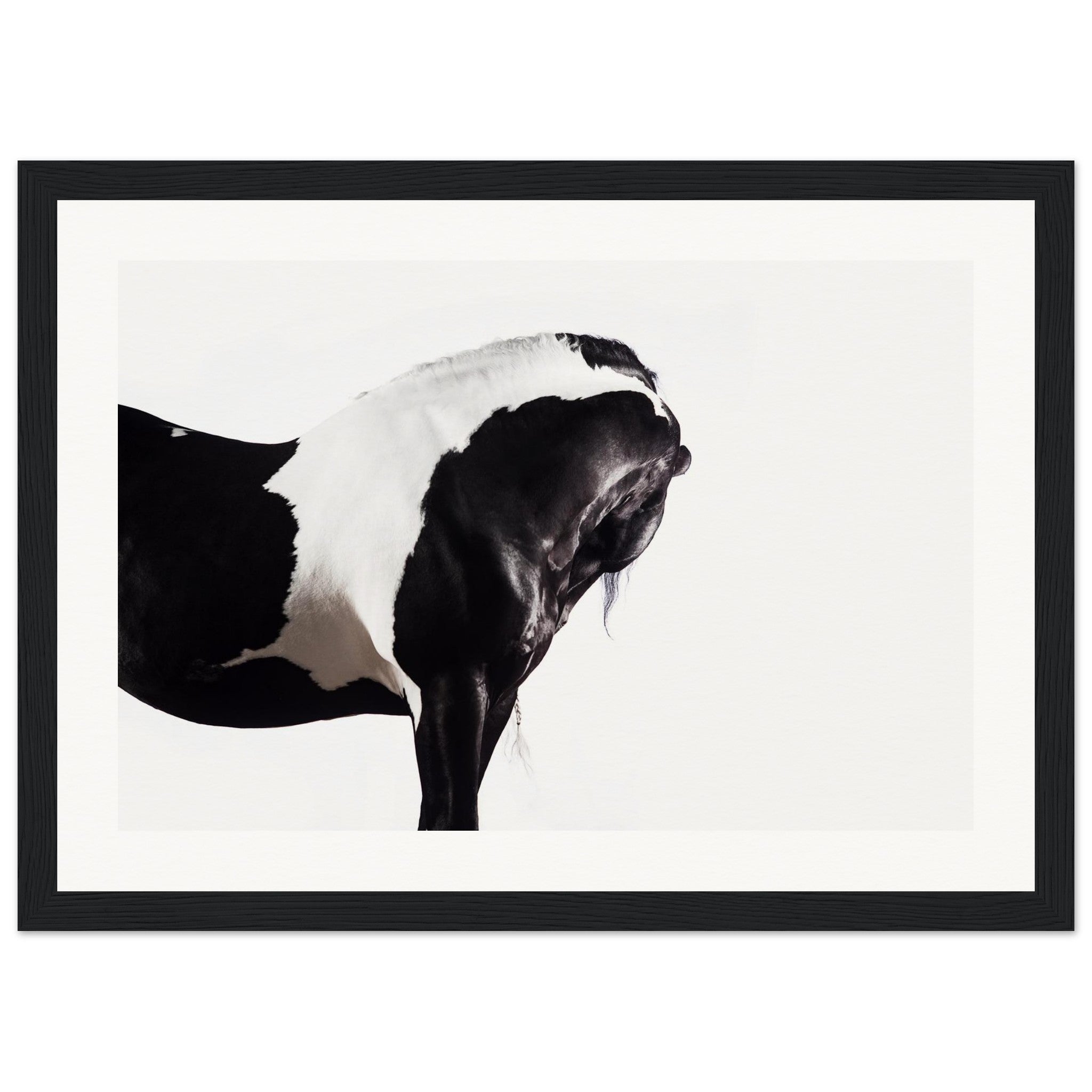 0af5927f-69ed-4b8d-98c0-f288a667f2ef