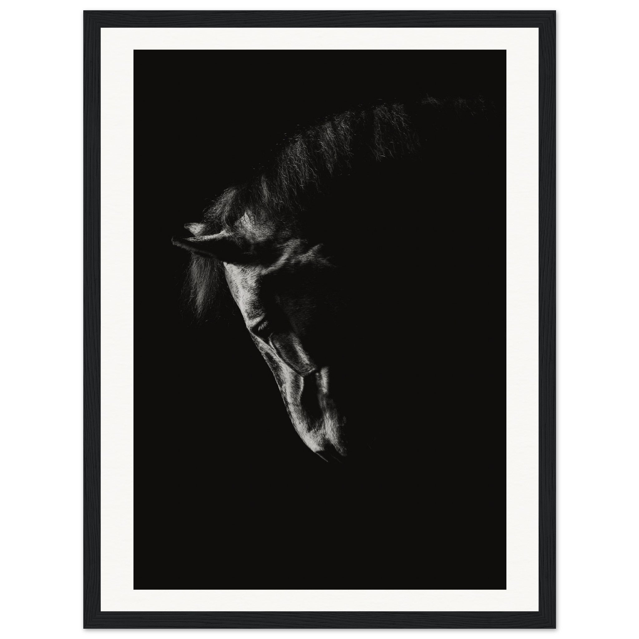 0af898bf-cd94-46ed-8aab-fc699e9cd809