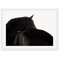 0b1958ef-e4fc-43ad-868c-f931a9fe33bc