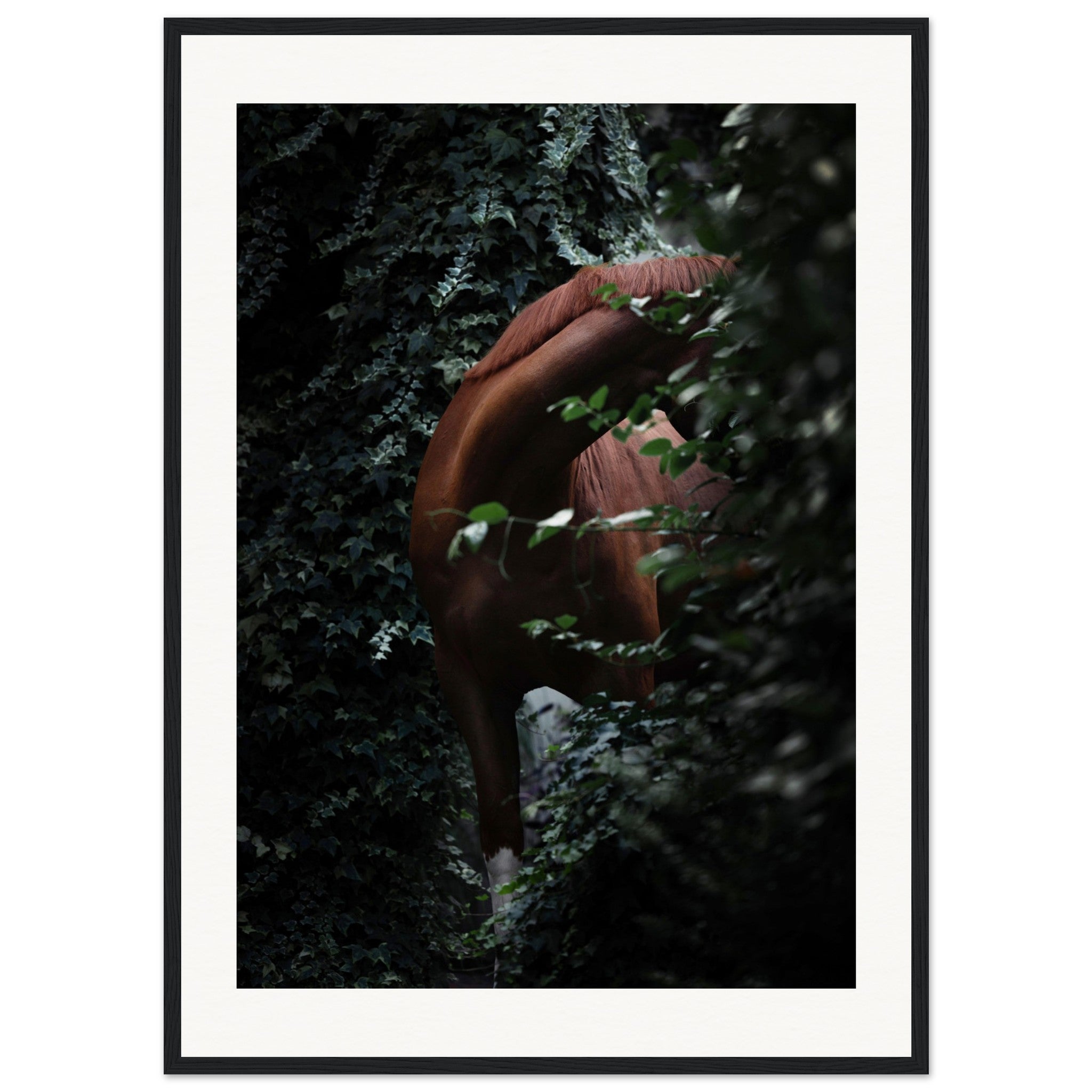 0b31cafa-8947-4d57-941e-1a7925c95f38