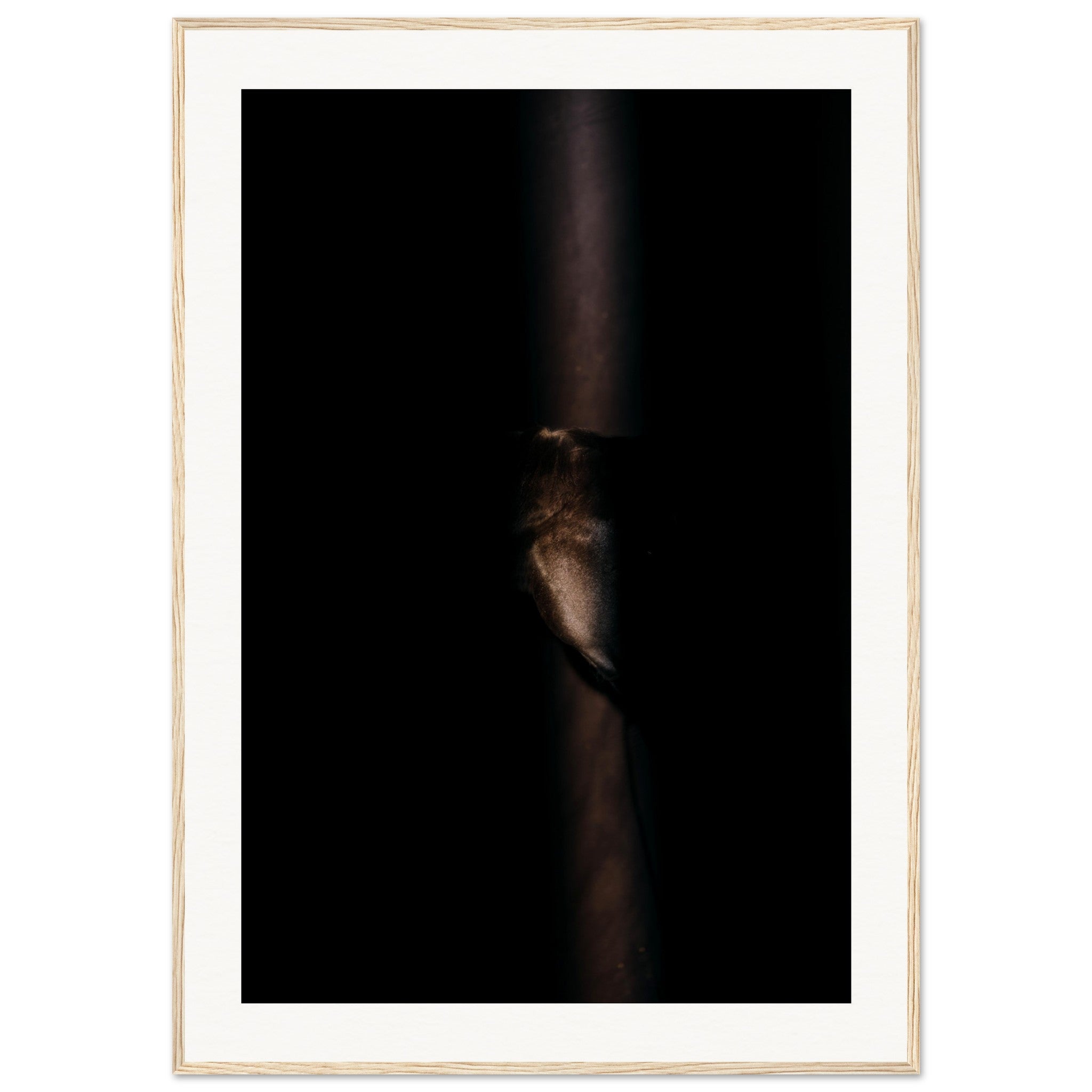 0b37d65e-34bf-46cf-94c5-79cb0a7bd14c