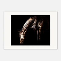 0b60ad81-dea4-4a8f-9b87-ee5366823648