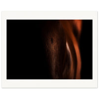 0b95dda4-1152-47ff-9407-445dc4614b07