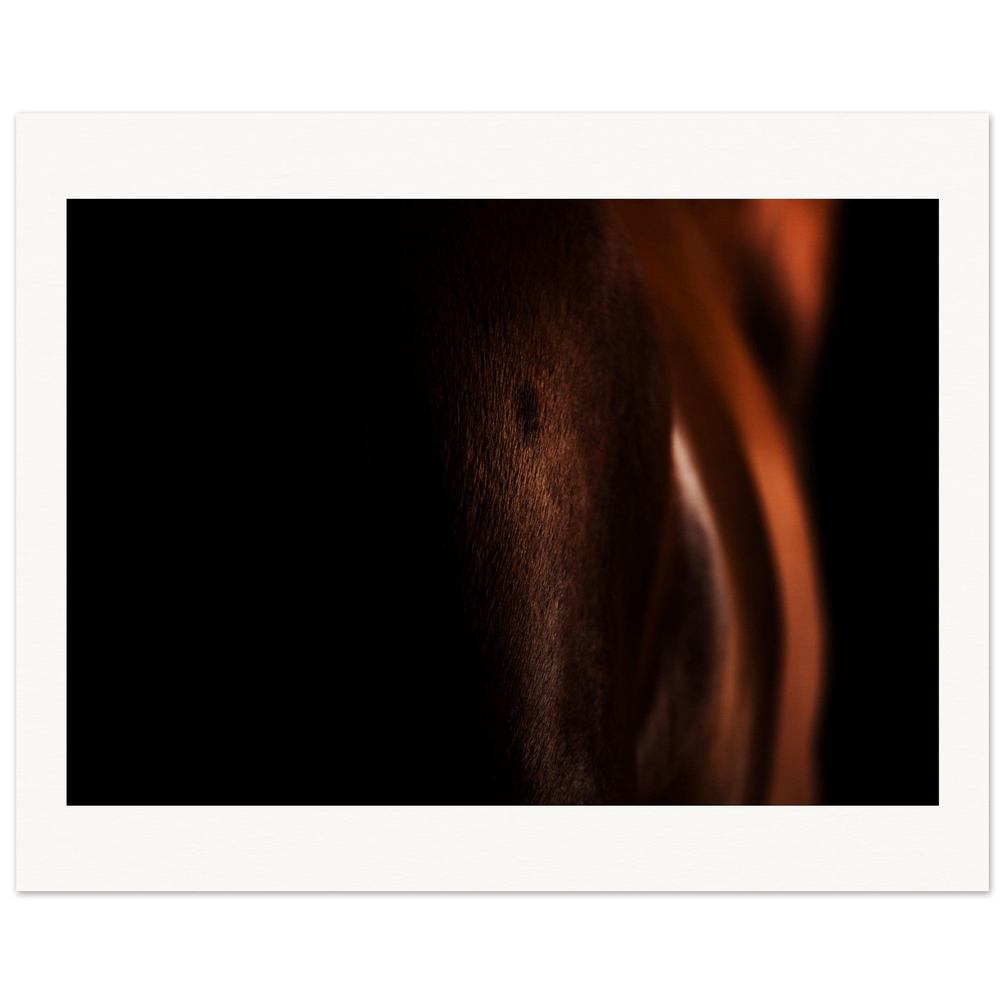 0b95dda4-1152-47ff-9407-445dc4614b07