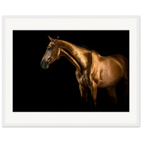 0bd6b525-0ffd-43ad-b59d-31bf2e5ee351