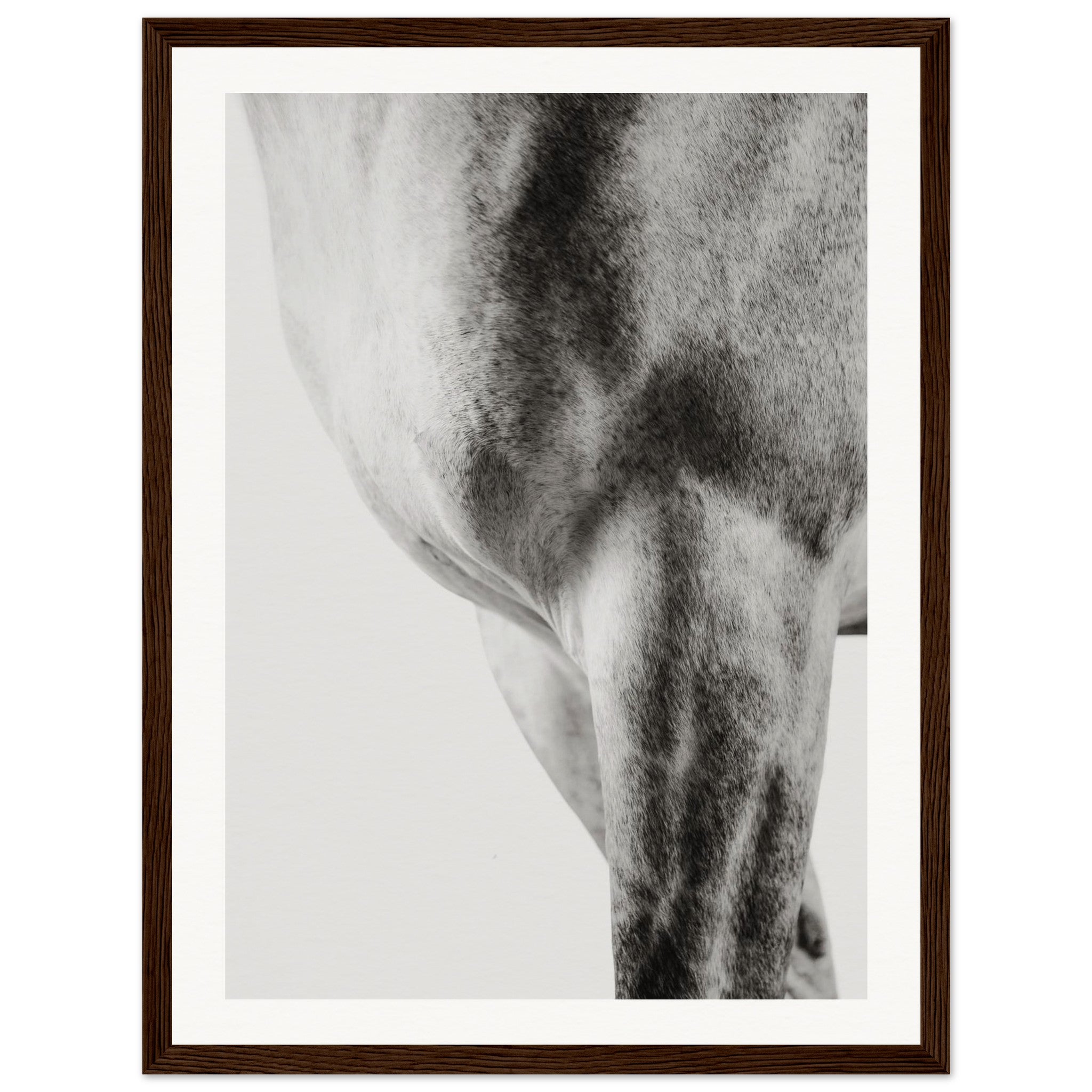 0bde2c97-6ee4-4d1b-a1aa-3dc9ecfcfb18