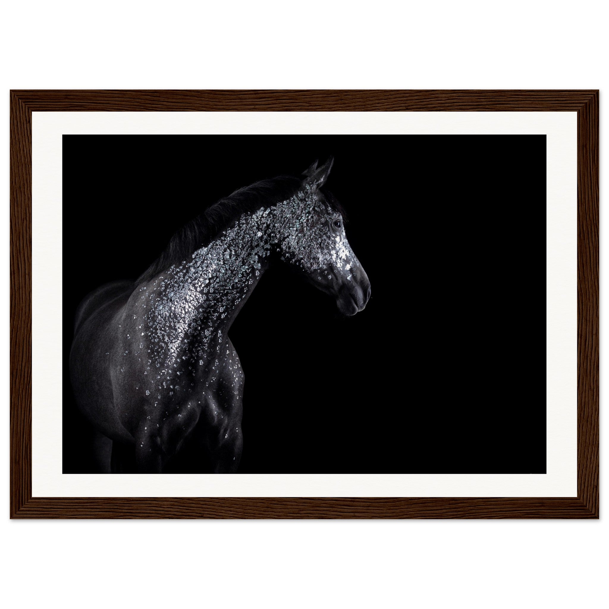 0c0c172e-d671-4c13-b549-5f3c27c72379