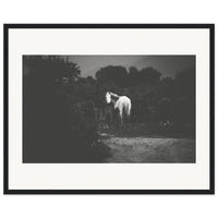 0c1465a8-245a-4336-99f4-ed248d8b9d13