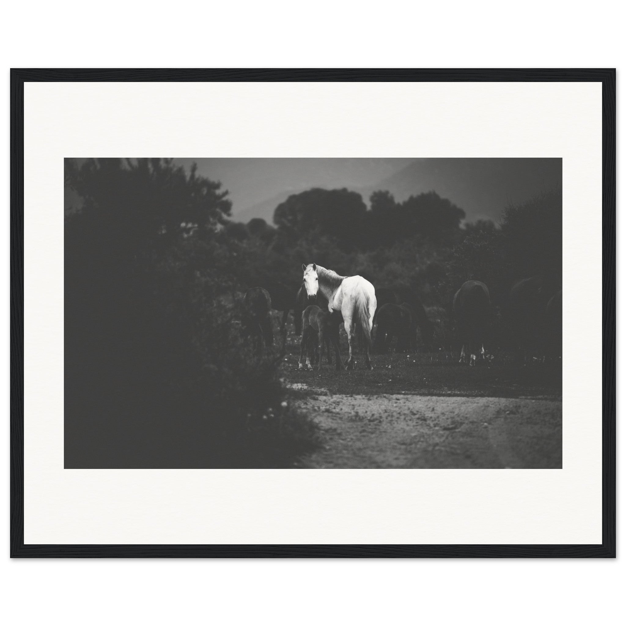 0c1465a8-245a-4336-99f4-ed248d8b9d13