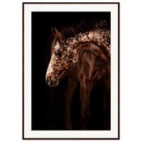 0c1a9d35-2fa5-4f12-8fa5-3d9ad1ded619