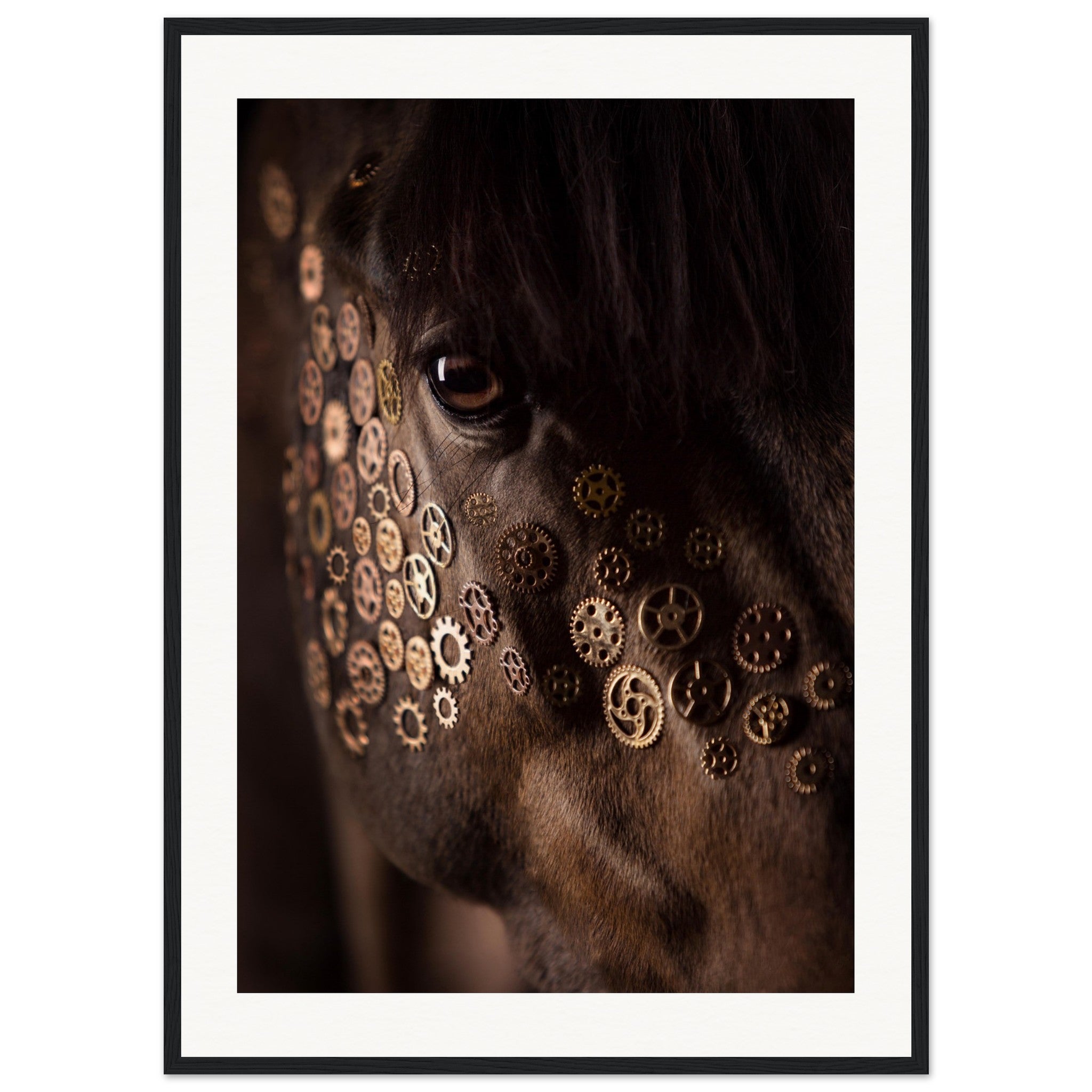 0c616df4-a51e-4502-8c1c-b849fad521ae