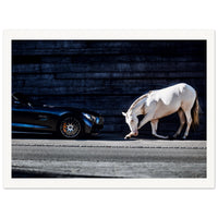 0c895a12-84b4-4690-b7e2-174f46f4d896