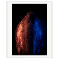 0c8b51c0-3112-4134-9b3c-e34424bde13a