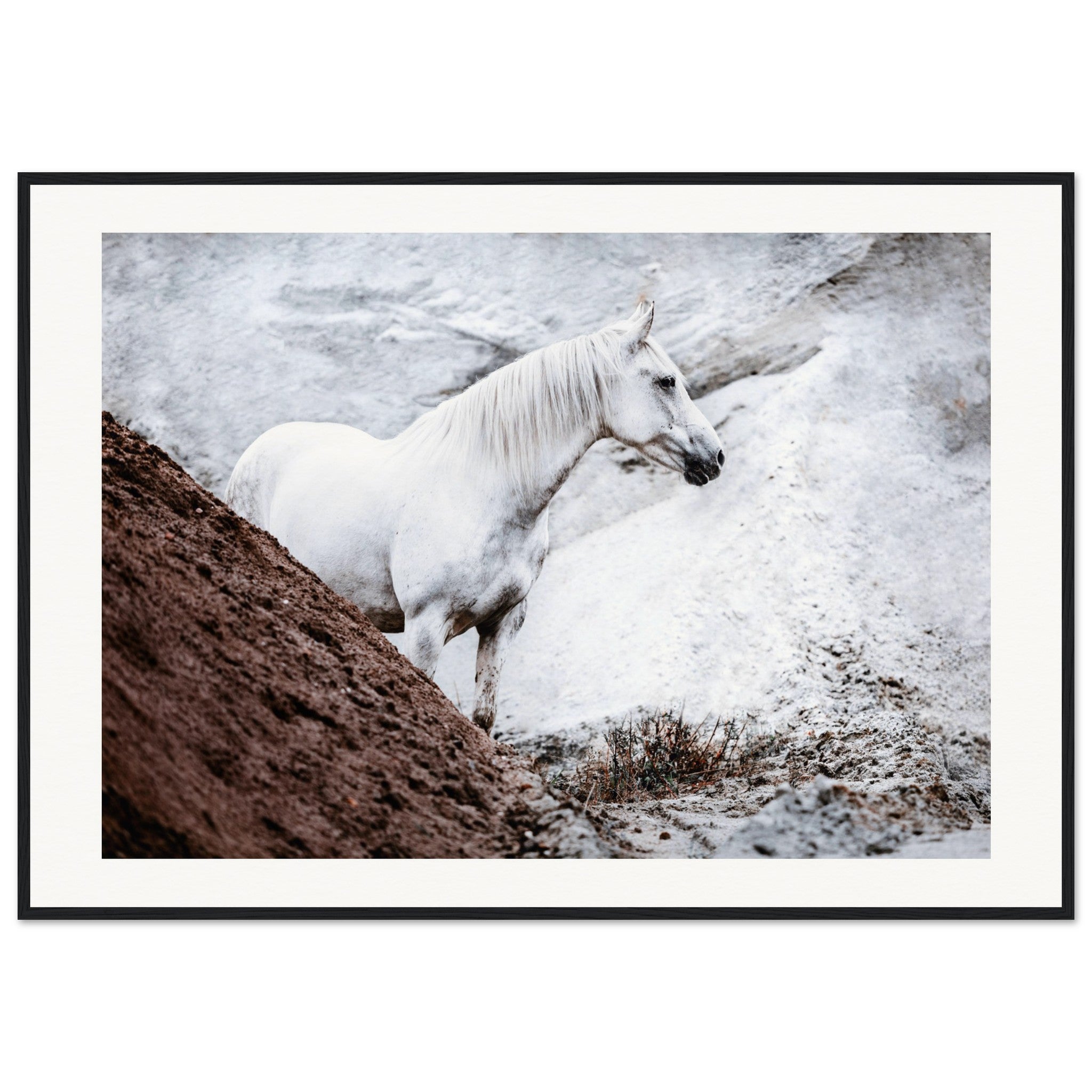 0cb0977a-7e01-4596-9a39-491db0c1b058