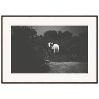 0d1891bc-cadf-449a-8e64-796abf97a298