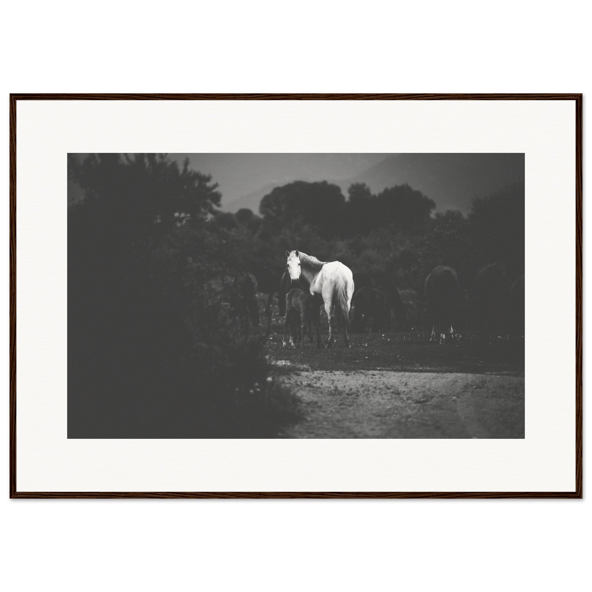 0d1891bc-cadf-449a-8e64-796abf97a298