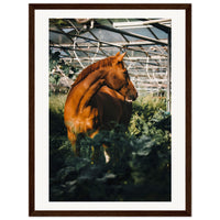 0d4b7582-8d6e-4146-84d3-1c13b69bf7b1