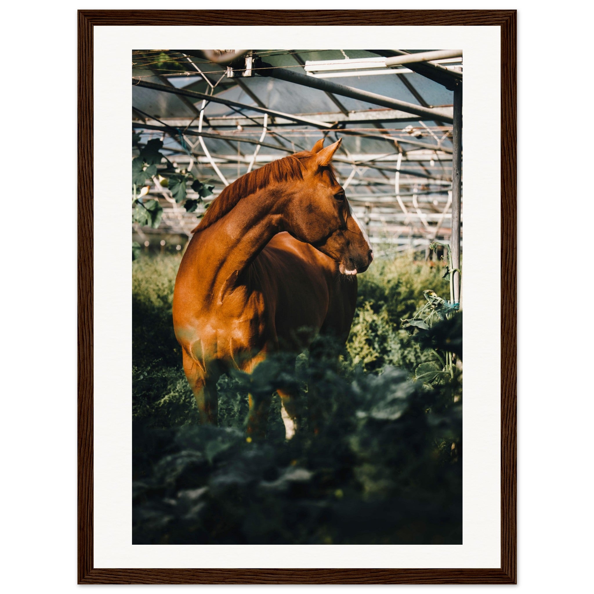 0d4b7582-8d6e-4146-84d3-1c13b69bf7b1